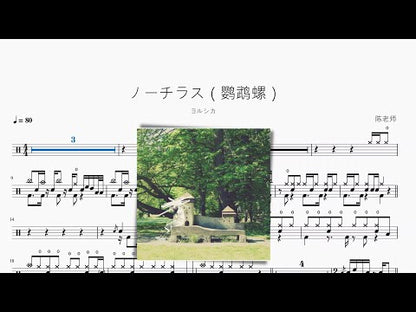 ノーチラス（鸚鵡螺）【ヨルシカ】