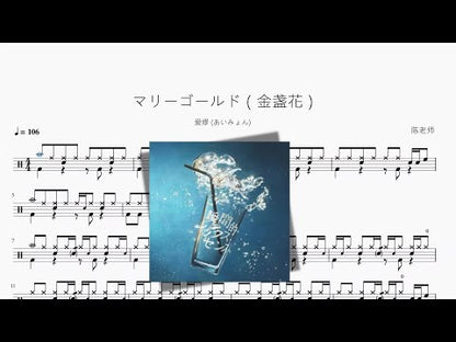 マリーゴールド（金盞花）【愛繆 (あいみょん)】