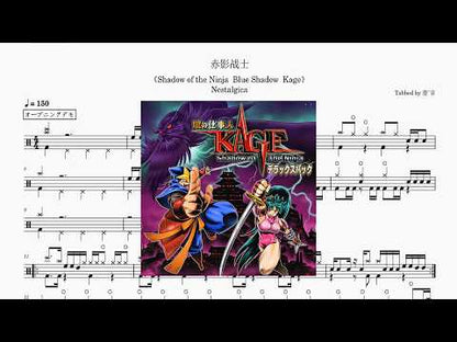 Shadow of the Ninja | Nestalgica