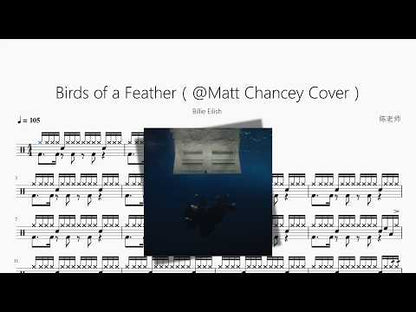 Birds of a Feather（@Matt Chancey Cover）【Billie Eilish】