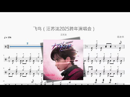 飛鳥（汪苏泷2025跨年演唱會）【汪苏泷】