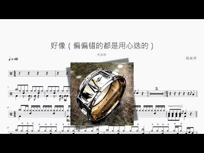 好像（偏偏錯的都是用心選的）【大頭針】